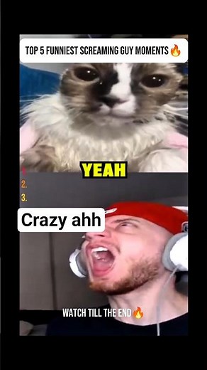 💀top 5 Funniest screaming guy moments💀 #funnymemes #internetmemes #crazymemes