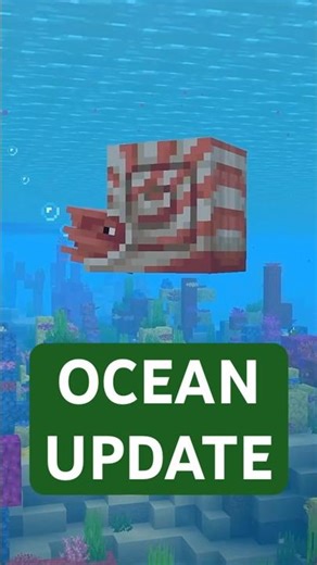 IS MINECRAFT MAKING UPDATE AQUATIC 2.0?!