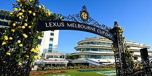 Where to Watch The Melbourne Cup: