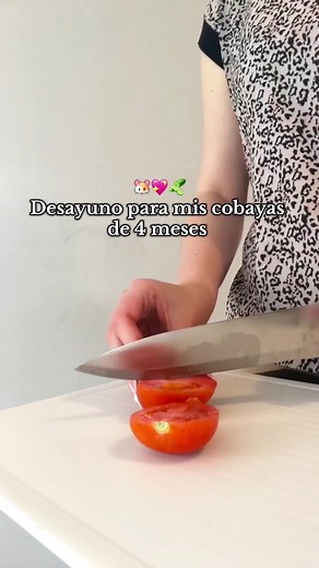 Comida saludable para cuyes: Ideas y consejos