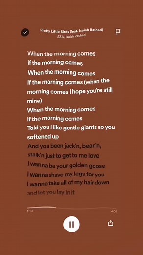 pretty little birds 🫶🏽 #sza #fyp #4u