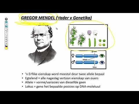 Lewenswetenskappe GR12 Genetika Les2