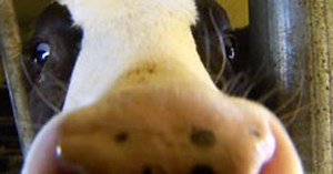 America's Heartland:513 Season 5 Episode 13