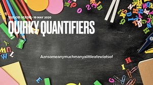 E-Lesson - ESL - Quantifiers And Partitives