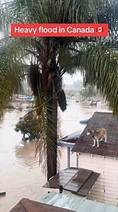 3.8M views · 10K reactions | Canada is fully flooded #canada #flood | Sara Windler | Facebook