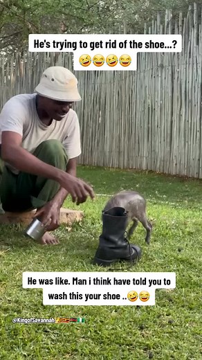 Warthog Adventures: Understanding V16 and Turbo Engines