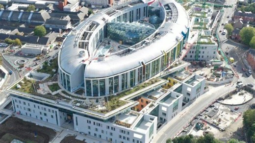 New Dail watchdog chair in 'determined' National Children’s Hospital scandal vow