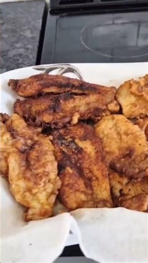 Omo Family Final stage of my coated fish. #microfish #mixotrophs #meiofauna #protistology #copepods