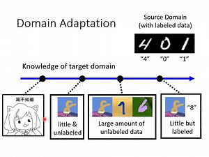 【机器学习】概述领域自适应 (Domain Adaptation)