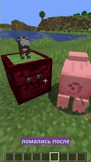 Mojang to open source Minecraft
