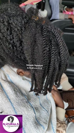 Best Natural Shampoo for Protective Styling