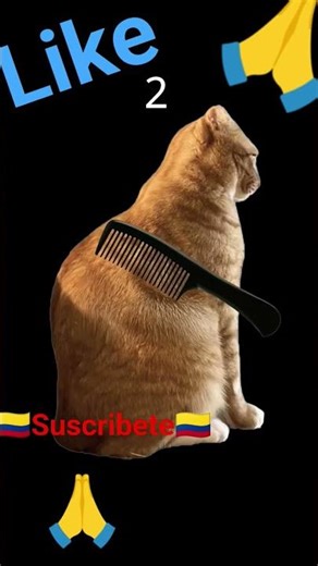 8 de mayo de 2026