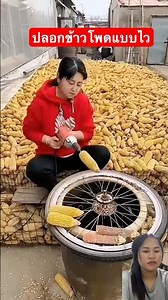 ปลอกแบบไวๆ