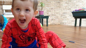 New South Wales police are recommending William Tyrrell's foster mother be charged over his disappearance