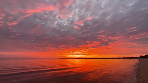 9-10-23 Good morning #dawn #sunrise #beach #summer #bayvilleny #bayvillelife #longisland #landscapephotography #naturallight #mothernature #iphone13promax | LJ Decker Photography, I Love Bayville New York