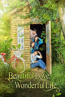 Ver dorama Beautiful Love, Wonderful Life online sub español HD ► Doramasflix
