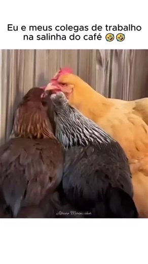 God's creations no TikTok