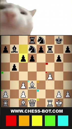How to Cheat at Chess.com 💥