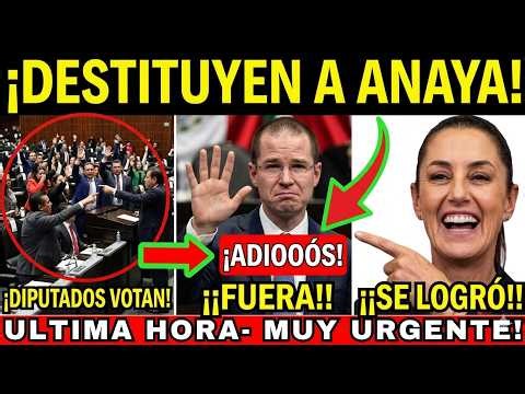 ¡¡ALERTA SACAN A RICARDO ANAYA DEL SENADO! DIPUTADOS VOTAN PARA ELIMINARLO DEL SENADO! ADIÓS LILLY!