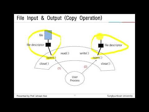 (System Programming) Writing Copy Program Using System Calls