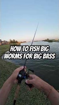How to fish BIG WORMS for BIG BASS #fishing #bass #bigfish