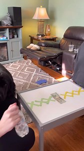 Flipping bottle challenge with my stepdaughter! #familygame | Riegel Twins