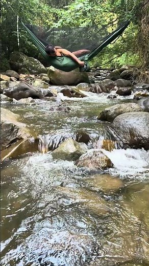 Hamaca Colgante con Mosquitero
