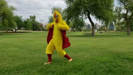 Chicken Dance - The Chicken Song - video Dailymotion