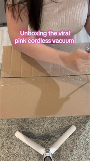 Top Pink Cordless Vacuum for Pet Fur Cleanup
