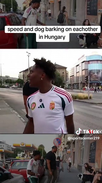 speed barking at dogs #ishowspeedclipz #speed #fyp #for #viral