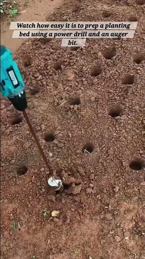 ​Effortless Gardening Hack: Planting Seedlings with a Power Drill!
