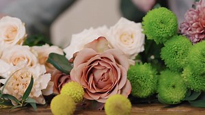 Growing Sweet Peas from Seeds