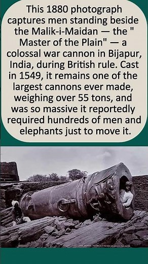 😲 They Needed Elephants Just to Move This Weapon