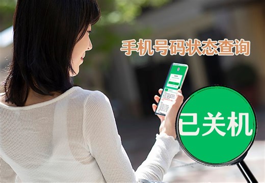 手机号码查询服务平台、查询号码在网状态，一键快速查手机号码是否关机、停机、空号、忙线等状态！