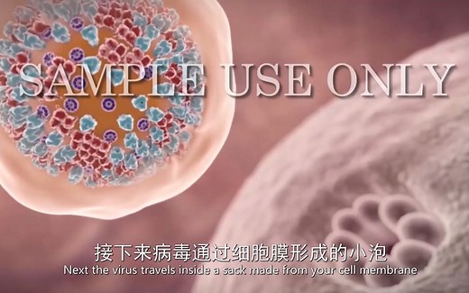 《生物自习室》：流感病毒的感染与增殖