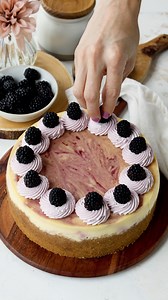 509K views · 5.3K reactions | This Blackberry Cheesecake features a buttery graham cracker crust, with tangy blackberry sauce swirled into a rich and decadent cheesecake batter. ✨ Check out this amazing recipe here: https://www.piesandtacos.com/blackberry-cheesecake/ | Pies and Tacos | Facebook
