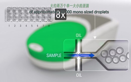 Digital PCR Using the Bio-Rad QX100™ ddPCR™ System