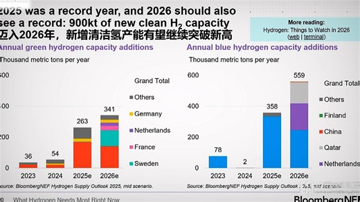 国际氢能大会绿氢交易国际合作论坛：低碳转型；氢能银行；蓝氢；绿色氢能发展；氢气；清洁氢；氢能