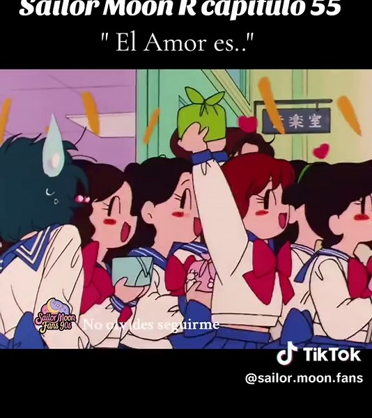 Sailor Moon R Capítulo 55: El Amor es...