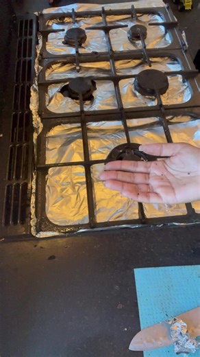 Grow Your Account with Creator Search Insights