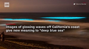 See algae blooms make the ocean glow