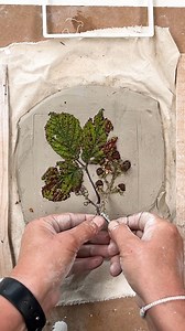 I must admit that I like the way my creative practice follows the seasons so closely... working with botanical material and nature in casting and printmaking insists on a seasonal rhythm, noticing what’s present, working with what’s available, and allowing ideas to emerge rather than forcing them. This is a bramble cast, a throwback to my October focus and one of my most liked casts of the year. I still have a few brambles around and I love working with plants at this stage when they’re slightly