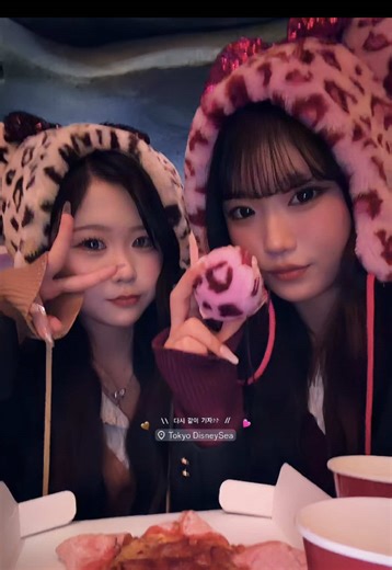 極寒すぎたけど、今年初ディズニー大好きな友達と行けて幸せꈍ ꈍ#コマ撮り動画 #親友 #fyp #ディズニーシー #jk