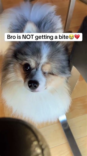 Bro is NOT getting a bite😭