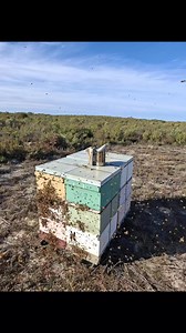 2.4K views · 120 reactions | Part 1. 24-25 season has been a challenging one. The good.. the bad.. and the ugly. | Paul Valkenburg | Facebook