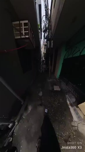 Explore the Future of Technology with Balli Bot Mogis