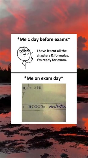 WHICH SUBJECT IS THIS? 🤣 #memes