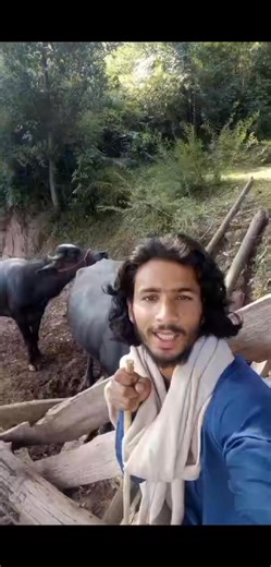 #Gojri #language بہت مشکل کام ہے اوہ پیارآلیو | Ikram Gujjar