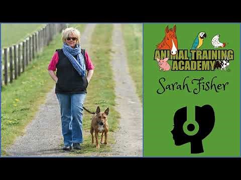 ACE Free Work and the Art of Canine Observation with Sarah Fisher [Episode 249]
