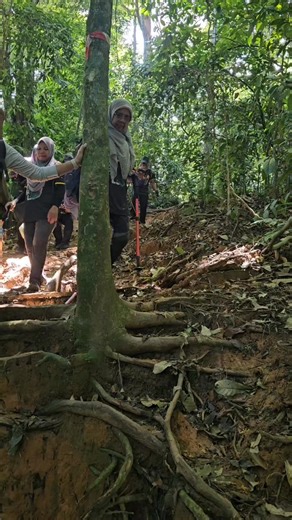 4.4K views · 40 reactions | Ramai yang tanya hari tu kalau hiking di waterfall lepoh hulu langat kat mana yang pacaknya..ok gaiss kat sini aku kongsikan sedikit video berkenaan trek yang sedikit pacak dan dipenuhi akar but still kena hati² gaiss, anggaran jarak pacak dalam 150meter kalau org tanye aku newbie boleh hiking ke sini tak..? Bagi aku boleh sbb santai jer..﫰 #lepohwaterfall #hikingmalaysia #hululangat #hikers #hiking #hikingadventures #outdoor | Mond Outdoors | Facebook